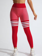 Legging Seamless Cintura Alta Com Faixas De Contorno